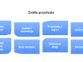 Różne źródła przychodu: sprzedaż towarów, dotacje, najem, zyski ze zbycia, różnice kursowe, kary umowne, umorzone długi, zwroty długów.
