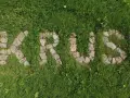 Napis "KRUS" ułożony z kamieni na trawie. Co to za krus?