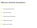Wybrane elementy biznesplanu: charakterystyka, opis produktu, analiza otoczenia, strategia marketingowa i analiza finansowa.