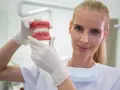 Dentystka w białej rękawiczce pokazuje model szczęki z aparatem ortodontycznym. Zastanawiasz się, ile zarabia dentysta?