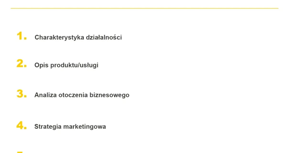 Wybrane elementy biznesplanu: charakterystyka, opis produktu, analiza otoczenia, strategia marketingowa i analiza finansowa.