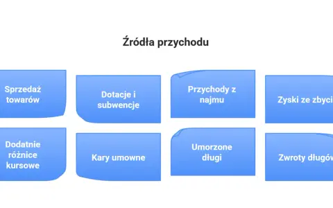Różne źródła przychodu: sprzedaż towarów, dotacje, najem, zyski ze zbycia, różnice kursowe, kary umowne, umorzone długi, zwroty długów.