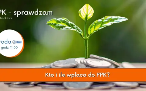 Młoda roślina wyrasta z monet, symbolizując wzrost. Temat: PPK - sprawdzam. Kto i ile wpłaca do PPK?
