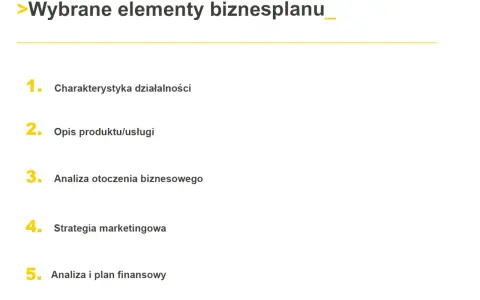 Wybrane elementy biznesplanu: charakterystyka, opis produktu, analiza otoczenia, strategia marketingowa i analiza finansowa.
