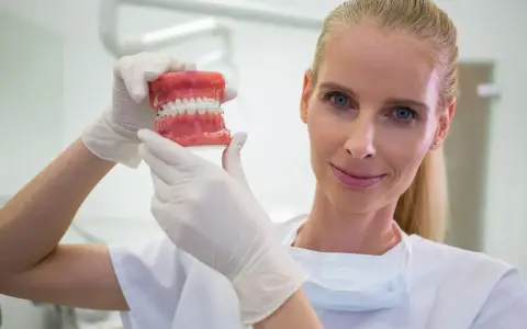 Dentystka w białej rękawiczce pokazuje model szczęki z aparatem ortodontycznym. Zastanawiasz się, ile zarabia dentysta?