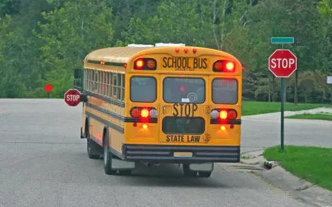 Autobus szkolny: Gdzie zatrzymać i jak reagować na znak STOP?