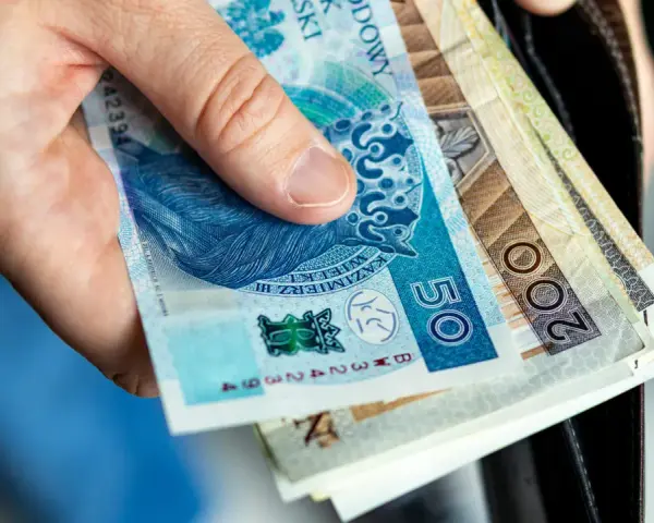 Dłoń trzyma polskie banknoty 50 i 200 zł. To może być zgłoszenie darowizny od rodziców na ważny cel.