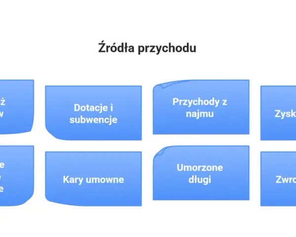 Różne źródła przychodu: sprzedaż towarów, dotacje, najem, zyski ze zbycia, różnice kursowe, kary umowne, umorzone długi, zwroty długów.