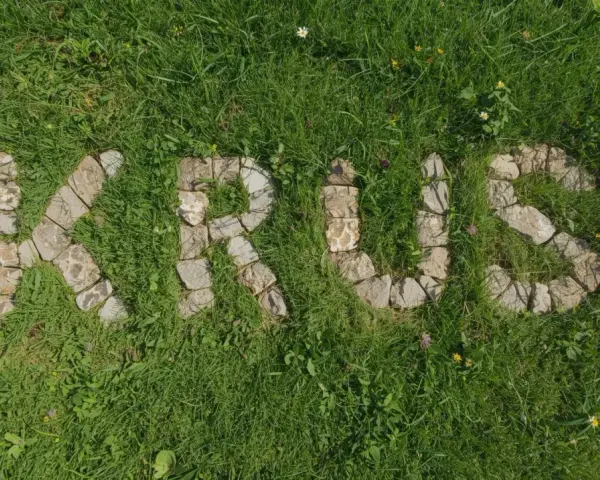 Napis "KRUS" ułożony z kamieni na trawie. Co to za krus?