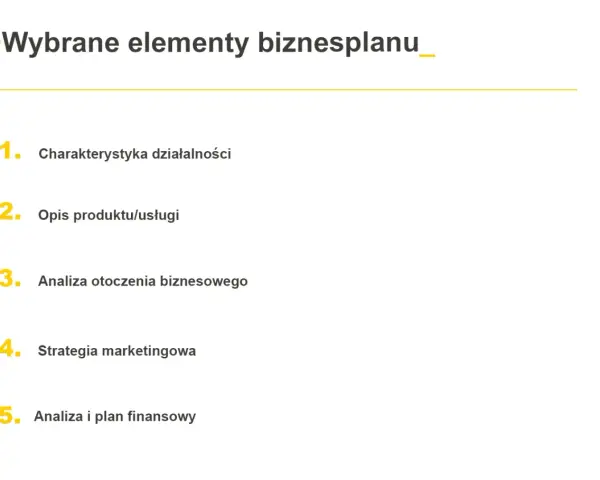 Wybrane elementy biznesplanu: charakterystyka, opis produktu, analiza otoczenia, strategia marketingowa i analiza finansowa.