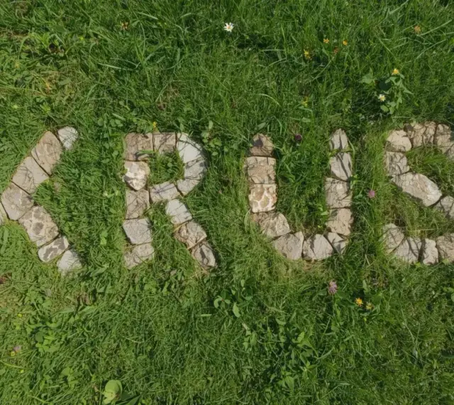 Napis "KRUS" ułożony z kamieni na trawie. Co to za krus?