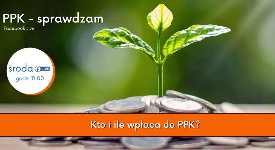 Młoda roślina wyrasta z monet, symbolizując wzrost. Temat: PPK - sprawdzam. Kto i ile wpłaca do PPK?
