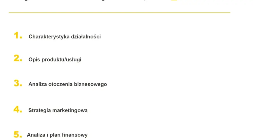 Wybrane elementy biznesplanu: charakterystyka, opis produktu, analiza otoczenia, strategia marketingowa i analiza finansowa.