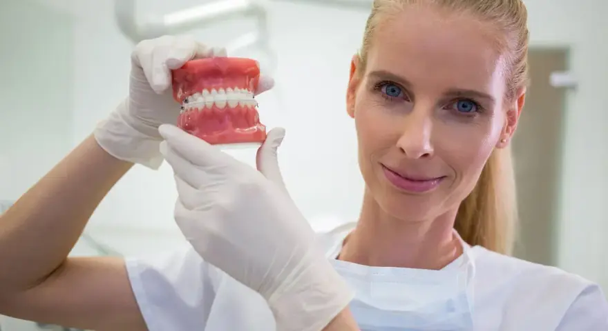 Dentystka w białej rękawiczce pokazuje model szczęki z aparatem ortodontycznym. Zastanawiasz się, ile zarabia dentysta?