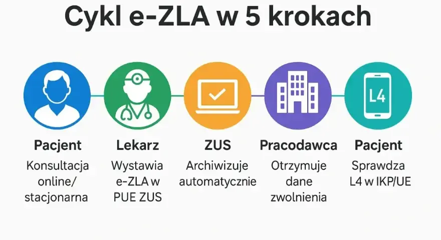 Schemat cyklu e-ZLA: Pacjent, Lekarz, ZUS, Pracodawca, Pacjent. Dowiedz się, jak sprawdzić czy jestem ubezpieczony i uzyskać L4.