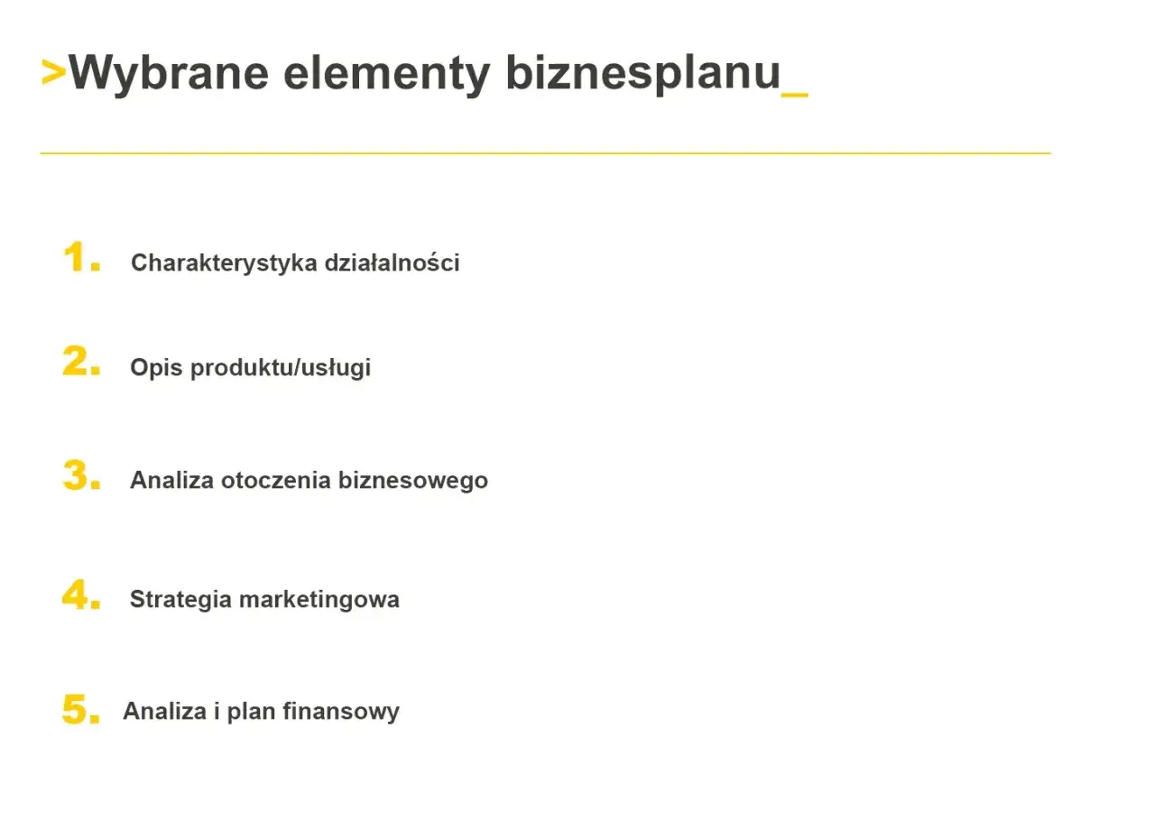 Wybrane elementy biznesplanu: charakterystyka, opis produktu, analiza otoczenia, strategia marketingowa i analiza finansowa.