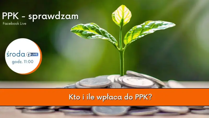 Młoda roślina wyrasta z monet, symbolizując wzrost. Temat: PPK - sprawdzam. Kto i ile wpłaca do PPK?