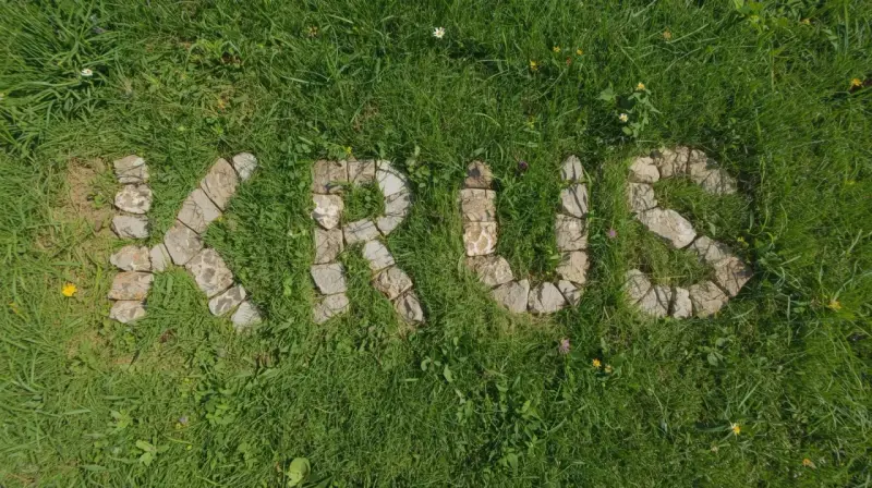 Napis "KRUS" ułożony z kamieni na trawie. Co to za krus?